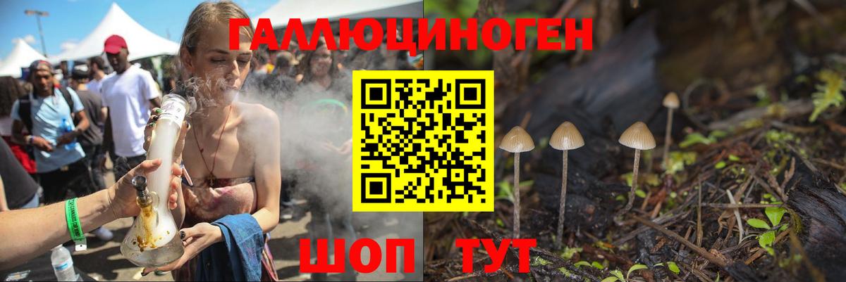 Псилоцибиновые грибы Psilocybine cubensis  Псилоцибиновые грибы мухоморы  Вход с VPN  Славгород 